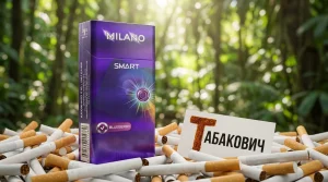 Milano Smart Blueberry · Милано Смарт Черника — в наличии оптом