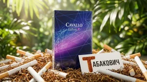 Cavallo Clip & Go — в наличии оптом