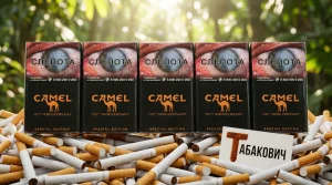 CAMEL SPECIAL EDITION CHOCOLATE · КЭМЛ СПЕШЛ ЭДИШН ШОКОЛАД — в наличии оптом