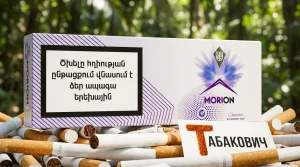 MORION COMPACT BLUEBERRY MINT · Морион компакт голубика мята — в наличии оптом
