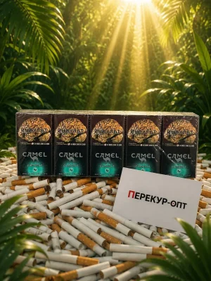 Кэмл Компакт Кул Краш купить оптом по горячей цене